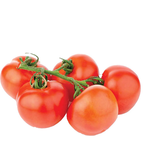 Ürün Fotoğrafı