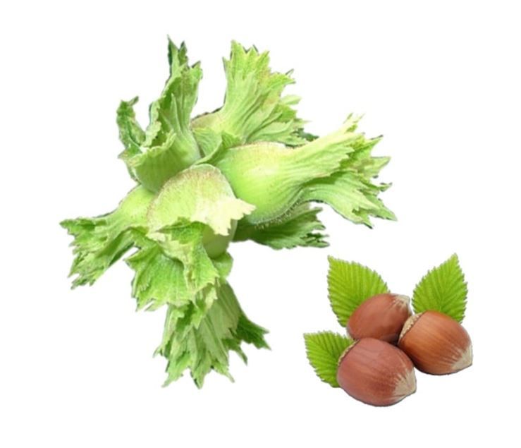 Ürün Fotoğrafı